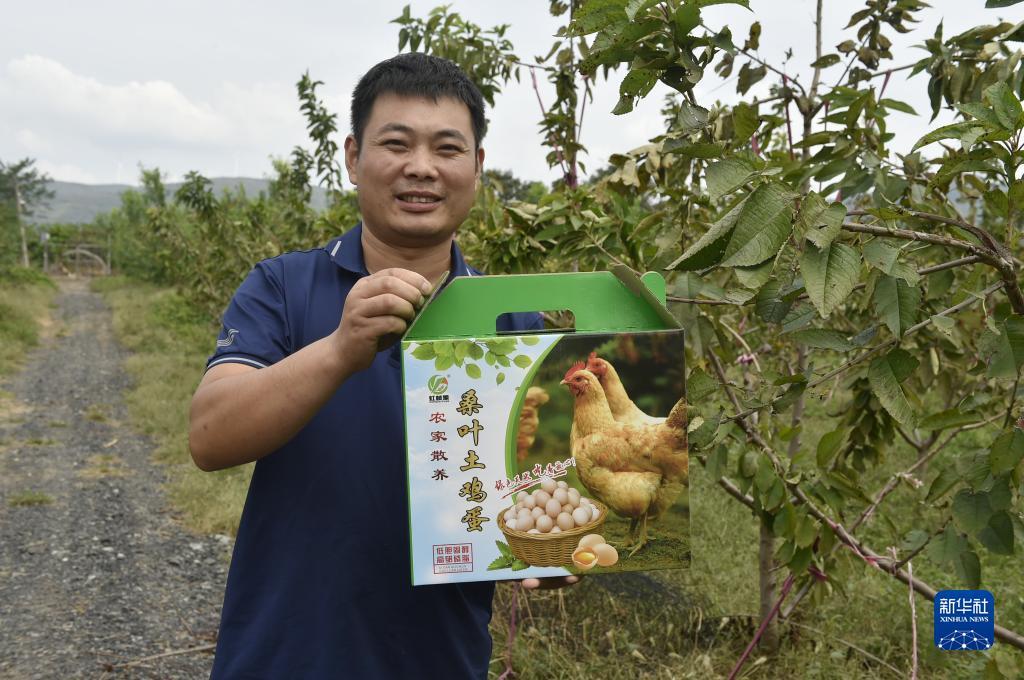 串里面赢一半输一半平怎么算